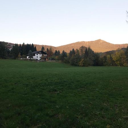 Ferienwohnung Traummichel 拉米 外观 照片